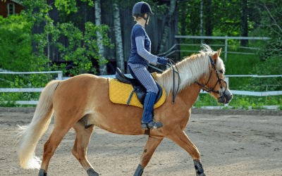 Ways to Donate 2 woman riding a horse