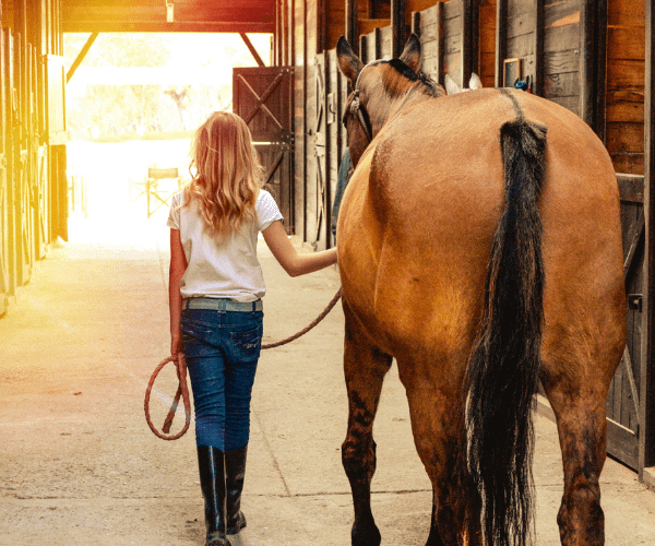 Equine Assisted Learning 8 girl walking a horse