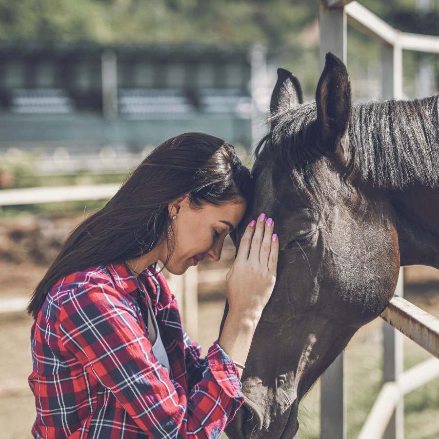 Equine Assisted Learning 2 woman embracing a horse